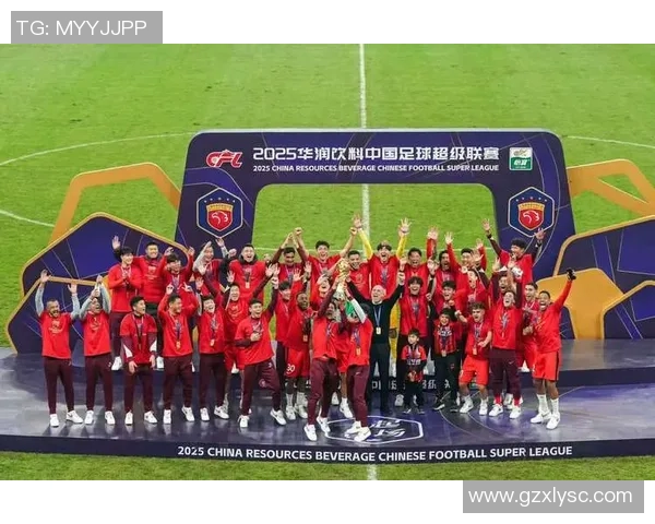 杭州足球队实力强劲荣登全国足球力量排行榜第八位